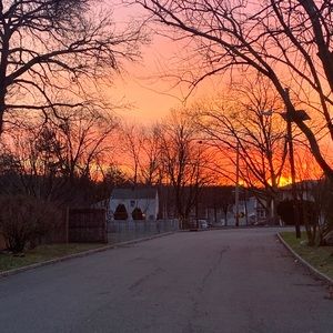 Meet your Posher, Ari